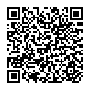 QR Code for Communication For Accountants