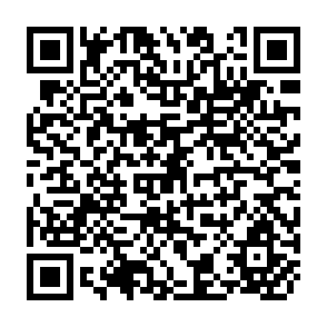 QR Code for The Political Economy of Inequality