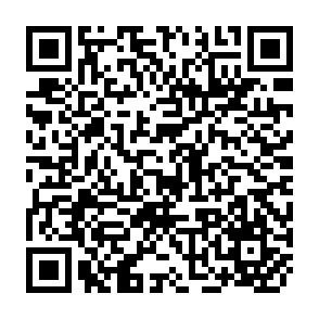 QR Code for The McGraw-Hill brief guide to avoiding bias