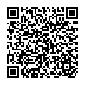 QR Code for The McGraw-Hill brief guide to avoiding bias