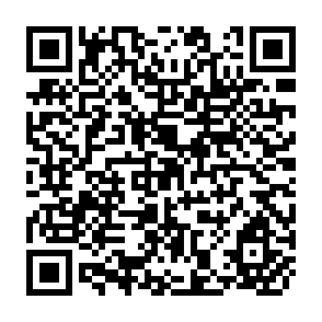 QR Code for In the Way of Development