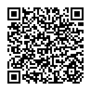 QR Code for Management Theory and Practice