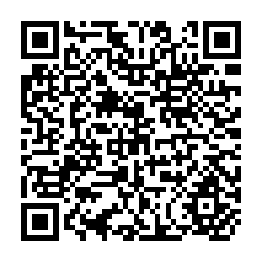 QR Code for Accountability of the International Monetary Fund