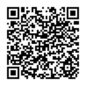 QR Code for Forests for Poverty Reduction