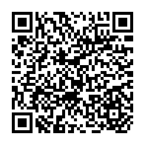 QR Code for Government and politics in south asia