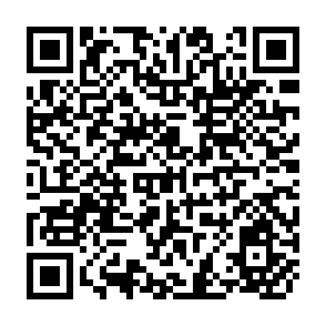 QR Code for Labor and Monopoly Capital