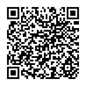 QR Code for International Symposium on Development of Ground Water Resources