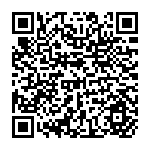 QR Code for Wealth, Income and Inequality
