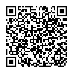 QR Code for Size Structure and Future of Farms