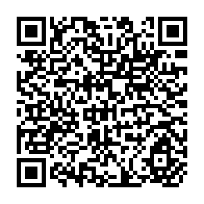 QR Code for Agriculture,Trade,and the WTO in South Asia