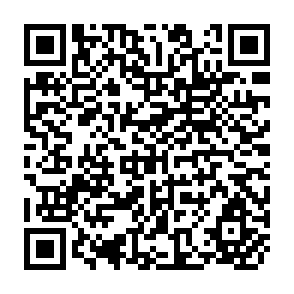 QR Code for Intellectual Property and Development
