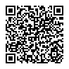 QR Code for China and the WTO