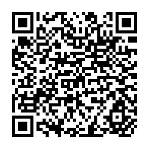 QR Code for World Development Report 2005