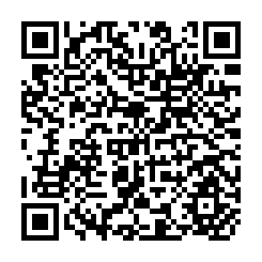 QR Code for Agriculture and the WTO