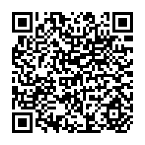 QR Code for World Development Report 2003 - Sustainable Development in a Dynamic World