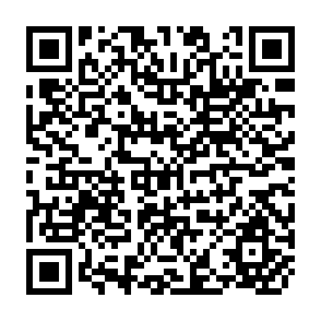 QR Code for Commercial Fruits