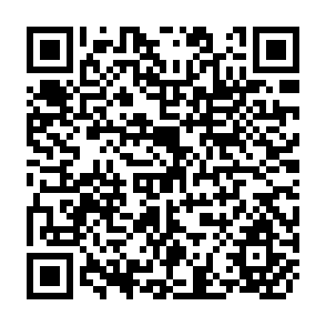 QR Code for Introduction to Economic Growth Second Edition