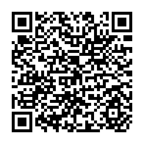 QR Code for Repositioning Nutrition As Central To Development