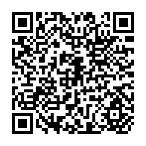 QR Code for Environmental Studies
