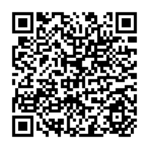 QR Code for Handbook for Training Strategy