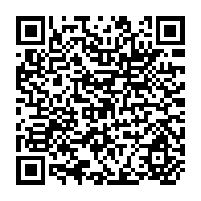 QR Code for Build That Team!