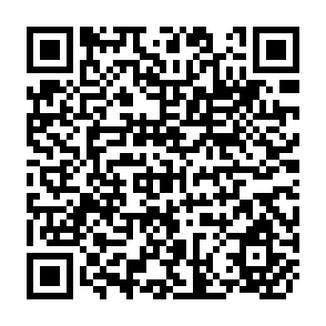 QR Code for Data Processing and Management Information Systems