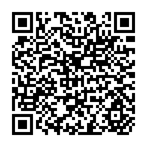 QR Code for World Development Report 2007