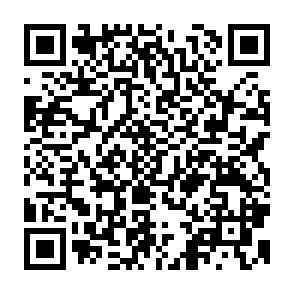 QR Code for Global Monitoring Report 2006