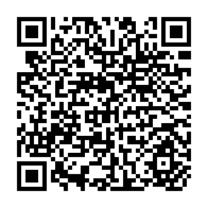 QR Code for The Economics of Under - Developed Countries