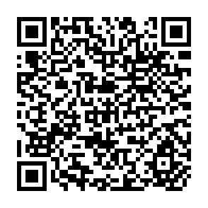 QR Code for Geophysic Information Systems and Environmental Modeling