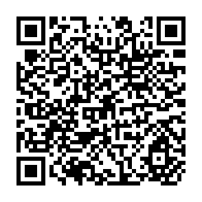 QR Code for Food Science