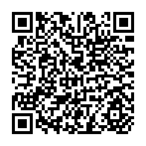 QR Code for peasant life in china