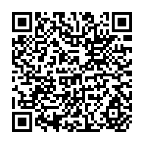 QR Code for The Management Jungle