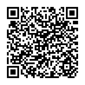 QR Code for The Imlementation of Agricultural Development Policies:Organisation, Management and Institute