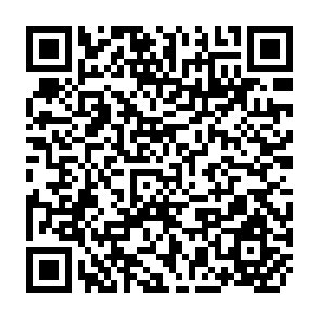 QR Code for Grape Cultivarion and Processing