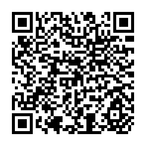 QR Code for Food and People