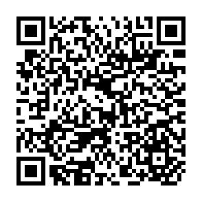 QR Code for New Horizons of Social Theory