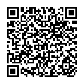 QR Code for Agricultural Markets and Transport Network