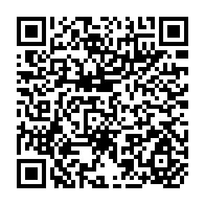 QR Code for Rural Development Report 2005
