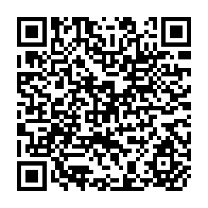 QR Code for Korean Traditional Food: Status, Prospects and Vision for Globalization