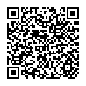QR Code for Agricultural Credit in Economically Undeveloped Countries