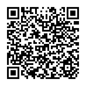 QR Code for Attempts to Introduce Stingless Bees for the Pollination of Crops Under Greenhouse Conditions in Japan