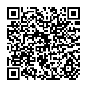 QR Code for Detection of Genetically Modified Soybeans in Processed Foods