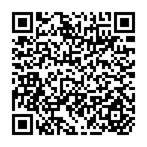 QR Code for Dairy Cattle Management in a Hot Environment