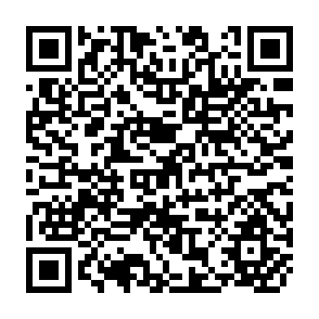 QR Code for Plant Nutrition Diagnosis in Japan, with a Special Focus on Crop quality and the Environment