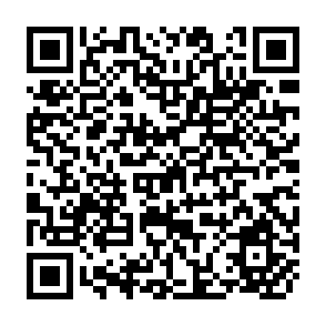 QR Code for Soil Degradation in the Coastal Lowlands of Southeast Asia