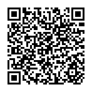 QR Code for Irrigation Management in Rice-Based Croppong Systems: Issues and Challenges in Southeast Asia