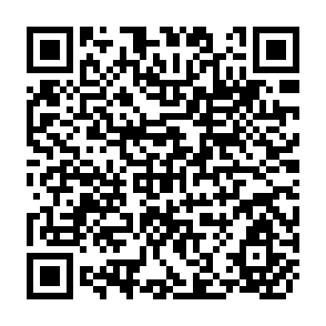 QR Code for Agrarian development in peasant economies
