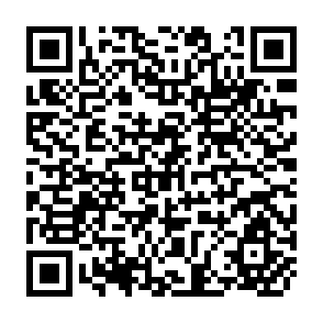 QR Code for Agrarian development in peasant economies