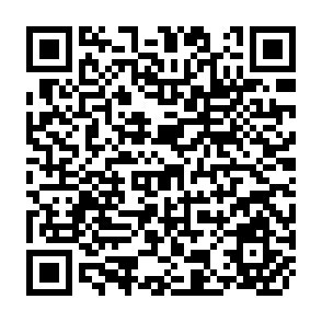 QR Code for Plant Genetic Resources in SAARC Countries: Their Conservation and Management